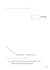 Organizacijos vidinė ir išorinė aplinka 20 puslapis