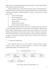 Organizacijos vidinė ir išorinė aplinka 6 puslapis