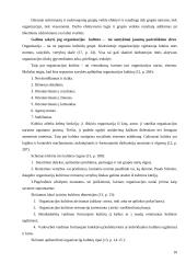 Organizacijos vidinė ir išorinė aplinka 10 puslapis