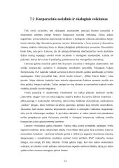 Organizacijų socialinė atsakomybė 13 puslapis