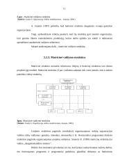 Organizacinė valdymo struktūra: technikos pardavimas, nuoma ir serviso paslaugos UAB "Jubana" 11 puslapis