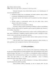 Organizacinė valdymo struktūra: technikos pardavimas, nuoma ir serviso paslaugos UAB "Jubana" 13 puslapis