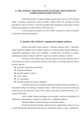 Organizacinė valdymo struktūra: technikos pardavimas, nuoma ir serviso paslaugos UAB "Jubana" 19 puslapis