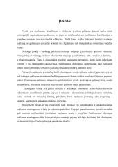 Paklausos elastingumo taikymas praktikoje 2 puslapis