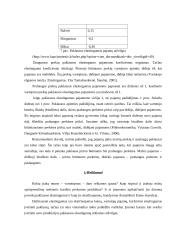 Paklausos elastingumo taikymas praktikoje 11 puslapis
