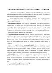 Paklausos elastingumo taikymas praktikoje 3 puslapis