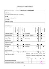 Pareigybių/darbo vietų analizė, užmokesčio sistema ir personalo parinkimo procedūra: UAB "Venta" 19 puslapis