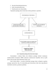 Pasaulinė paslaugų rinka 14 puslapis