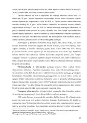 Pasaulinė paslaugų rinka 17 puslapis