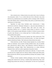 Pelno maksimizavimo ir išlaidų minimizavimo analizė 2 puslapis