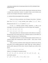 Pelno maksimizavimo ir išlaidų minimizavimo analizė 16 puslapis