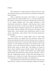 Pelno maksimizavimo ir išlaidų minimizavimo analizė 19 puslapis