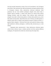 Pelno maksimizavimo ir išlaidų minimizavimo analizė 20 puslapis