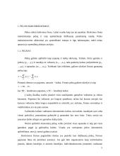 Pelno maksimizavimo ir išlaidų minimizavimo analizė 4 puslapis