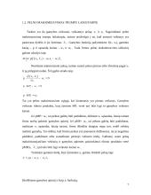 Pelno maksimizavimo ir išlaidų minimizavimo analizė 6 puslapis