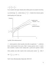 Pelno maksimizavimo ir išlaidų minimizavimo analizė 7 puslapis