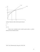 Pelno maksimizavimo ir išlaidų minimizavimo analizė 9 puslapis