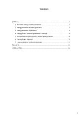 Pensijų fondų kūrimosi problemos Lietuvoje 2 puslapis