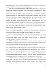 Pensijų fondų kūrimosi problemos Lietuvoje 11 puslapis