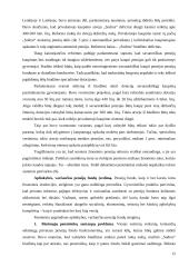 Pensijų fondų kūrimosi problemos Lietuvoje 12 puslapis