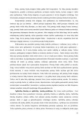 Pensijų fondų kūrimosi problemos Lietuvoje 15 puslapis