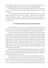 Pensijų fondų kūrimosi problemos Lietuvoje 17 puslapis