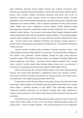 Pensijų fondų kūrimosi problemos Lietuvoje 19 puslapis