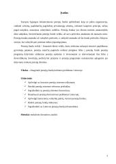 Pensijų fondų kūrimosi problemos Lietuvoje 3 puslapis