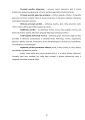 Personalo poreikio nustatymas organizacijos strateginio vystymo kontekste 16 puslapis
