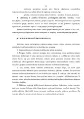Personalo ugdymo analizė: UAB "Volina" 12 puslapis