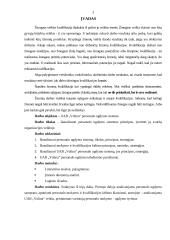 Personalo ugdymo analizė: UAB "Volina" 3 puslapis
