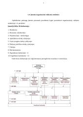 Personalo vadyba: apželdinimo paslaugos 7 puslapis