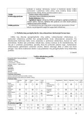 Personalo vadyba: UAB "Šilo vaistinė" 17 puslapis
