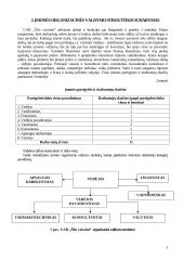 Personalo vadyba: UAB "Šilo vaistinė" 5 puslapis