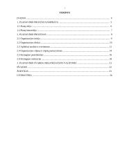 Planavimo procesas 2 puslapis