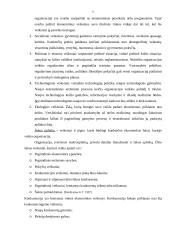 Planavimo procesas 11 puslapis