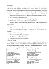 Planavimo procesas 14 puslapis