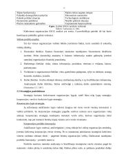 Planavimo procesas 15 puslapis