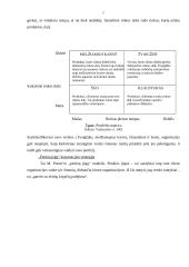 Planavimo procesas 16 puslapis