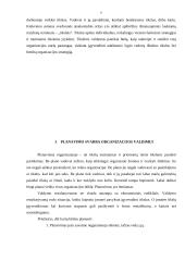 Planavimo procesas 20 puslapis