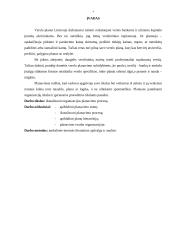 Planavimo procesas 3 puslapis