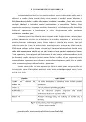 Planavimo procesas 4 puslapis