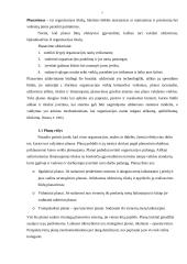 Planavimo procesas 5 puslapis