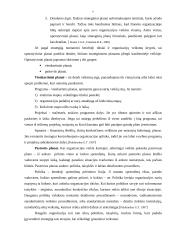 Planavimo procesas 7 puslapis