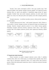 Planavimo procesas 8 puslapis