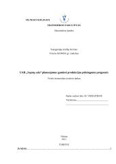 Planuojamos gaminti produkcijos pelningumo prognozės: UAB "Sapnų sala"