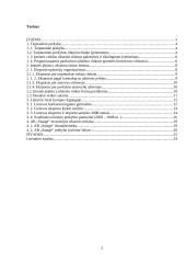 Plėtra tarptautinėse rinkose: šaldytuvų gamyba AB "Snaigė" 2 puslapis