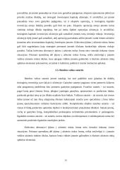 Plėtra tarptautinėse rinkose: šaldytuvų gamyba AB "Snaigė" 11 puslapis