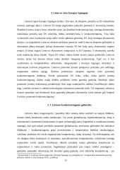 Plėtra tarptautinėse rinkose: šaldytuvų gamyba AB "Snaigė" 12 puslapis