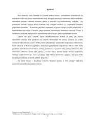 Plėtra tarptautinėse rinkose: šaldytuvų gamyba AB "Snaigė" 3 puslapis